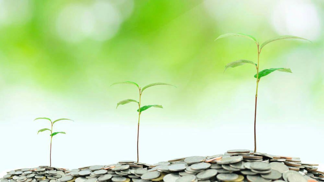 Konceptuell bild av tre små plantor som växer ur högar av mynt mot en grön bakgrund, symboliserar hållbar tillväxt och investeringar i gröna initiativ.